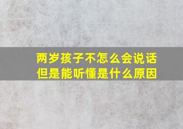 两岁孩子不怎么会说话 但是能听懂是什么原因